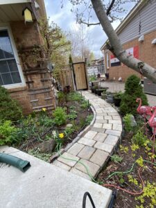 French drain, walkways, retaining wall, gate & fence, & cedar hedge installation