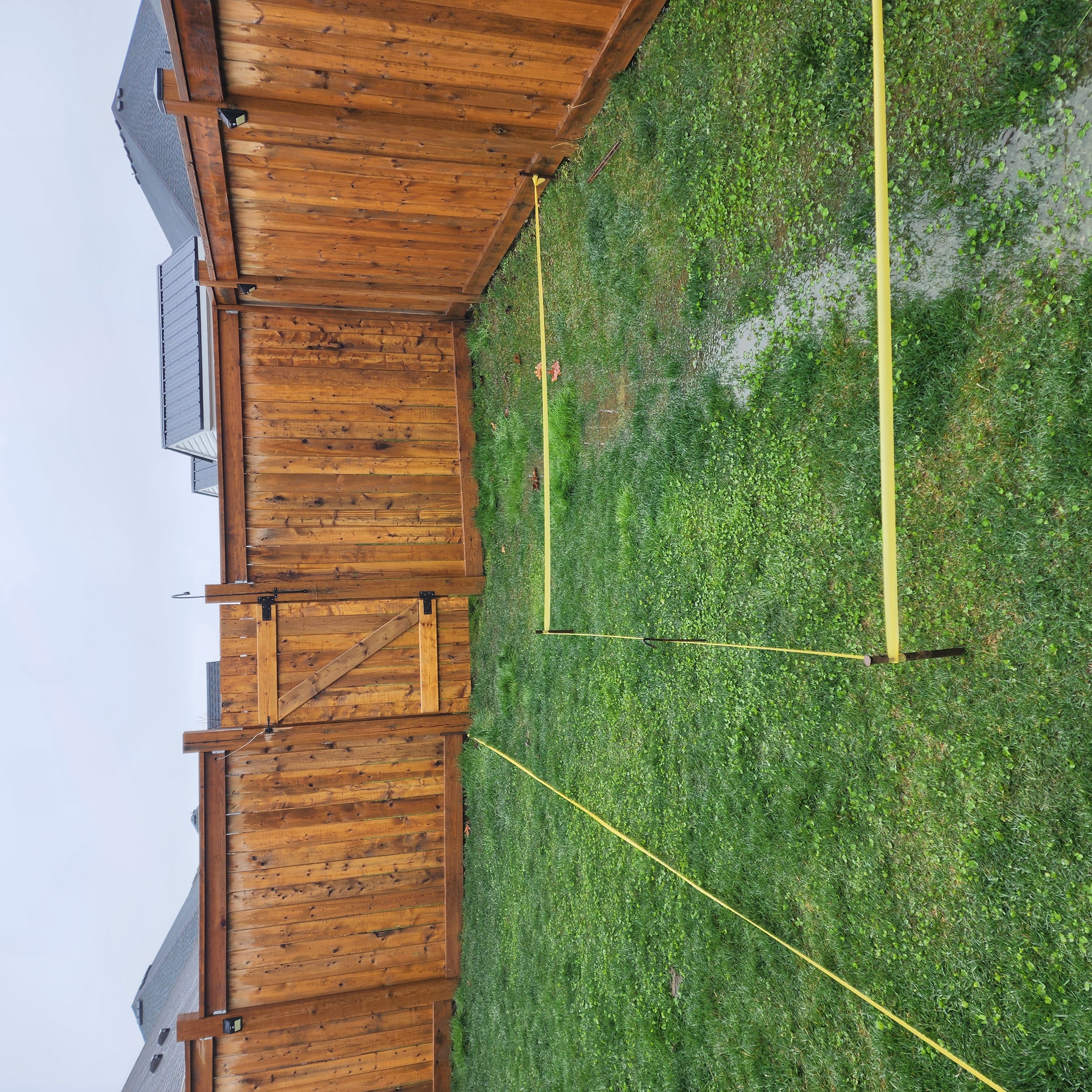 standing water in the backyard